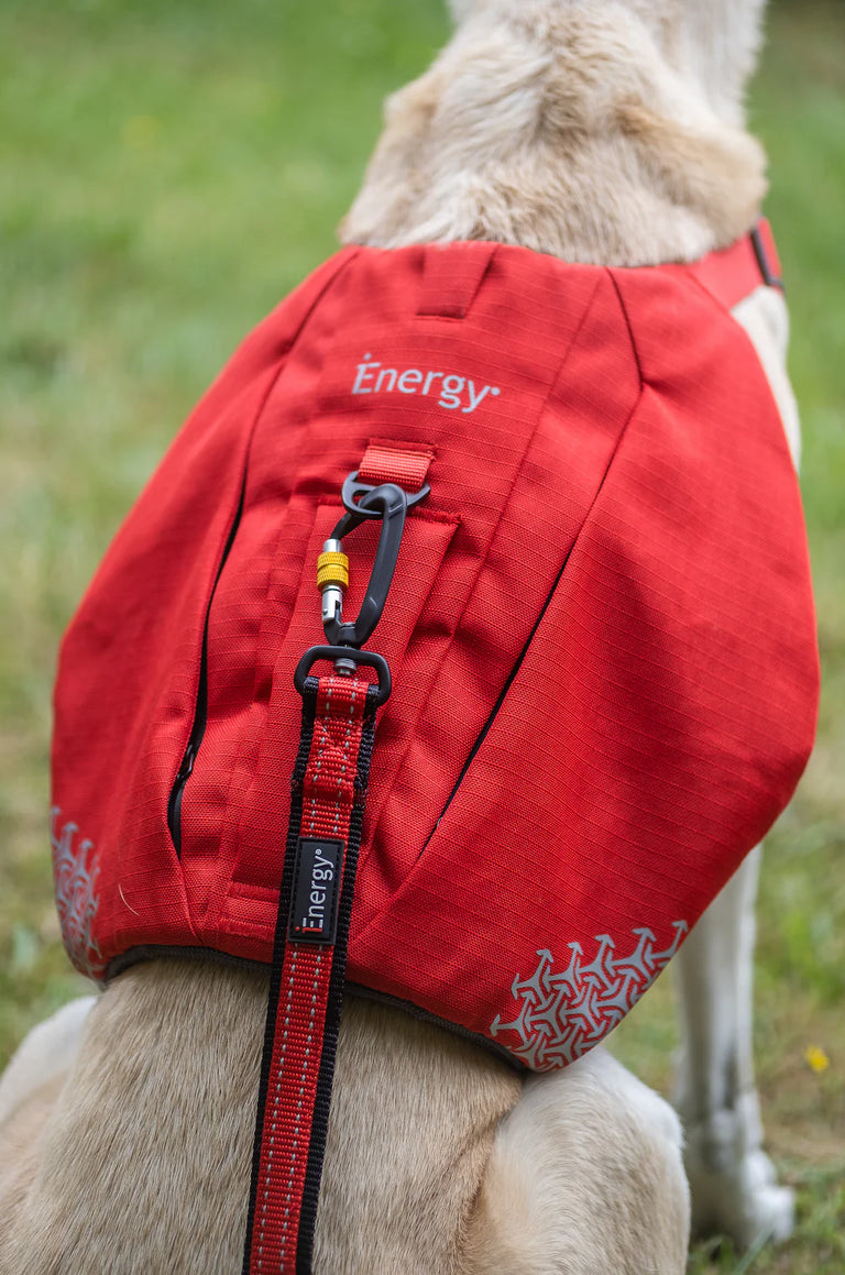 Dog backpacks & harnesses