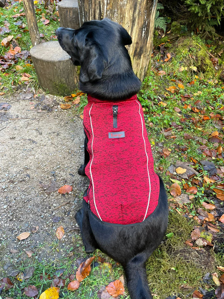 Dog coats and fleeces