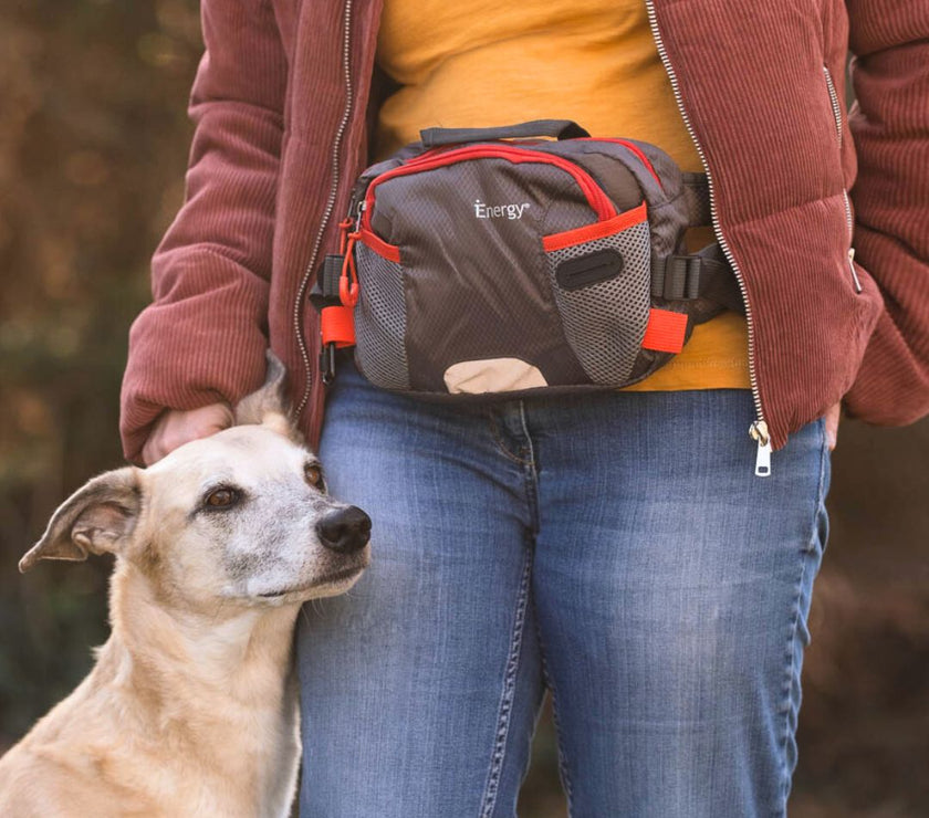 Happy dog and person with iEnergy™ PAT Waist Belt with orange trim 