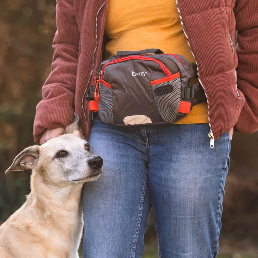 Happy dog and person with iEnergy™ PAT Waist Belt with orange trim 