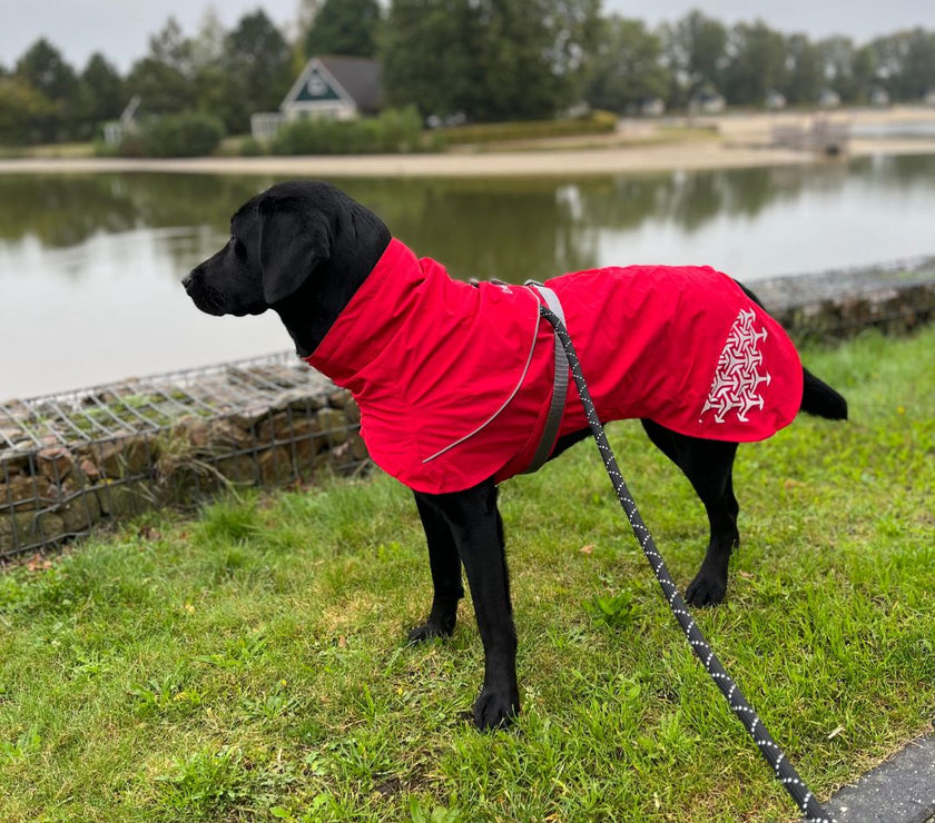 iEnergy™ LUN Water-Resistant Jacket for dogs