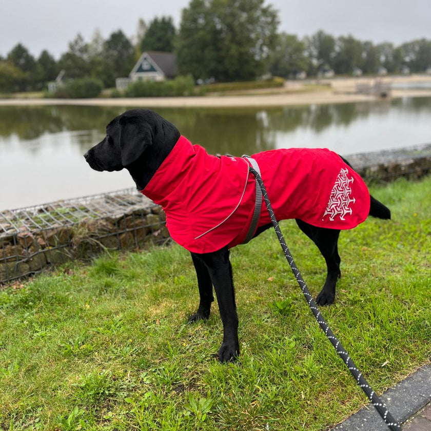 iEnergy™ LUN Water-Resistant Jacket for dogs