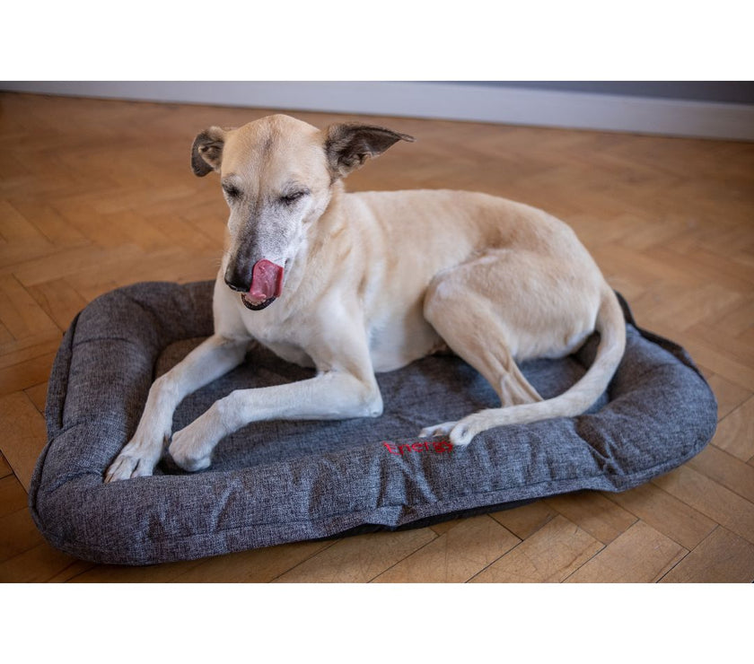 iEnergy™ GIS Slumber Mat for Dogs with happy customer