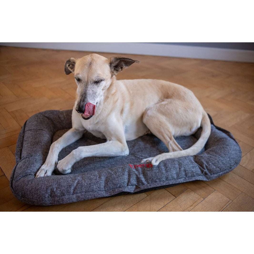 iEnergy™ GIS Slumber Mat for Dogs with happy customer