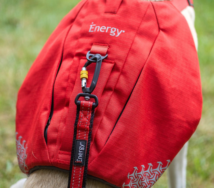 Dog wearing the iEnergy MIC Dog Harness with zippered backpack pockets in red color