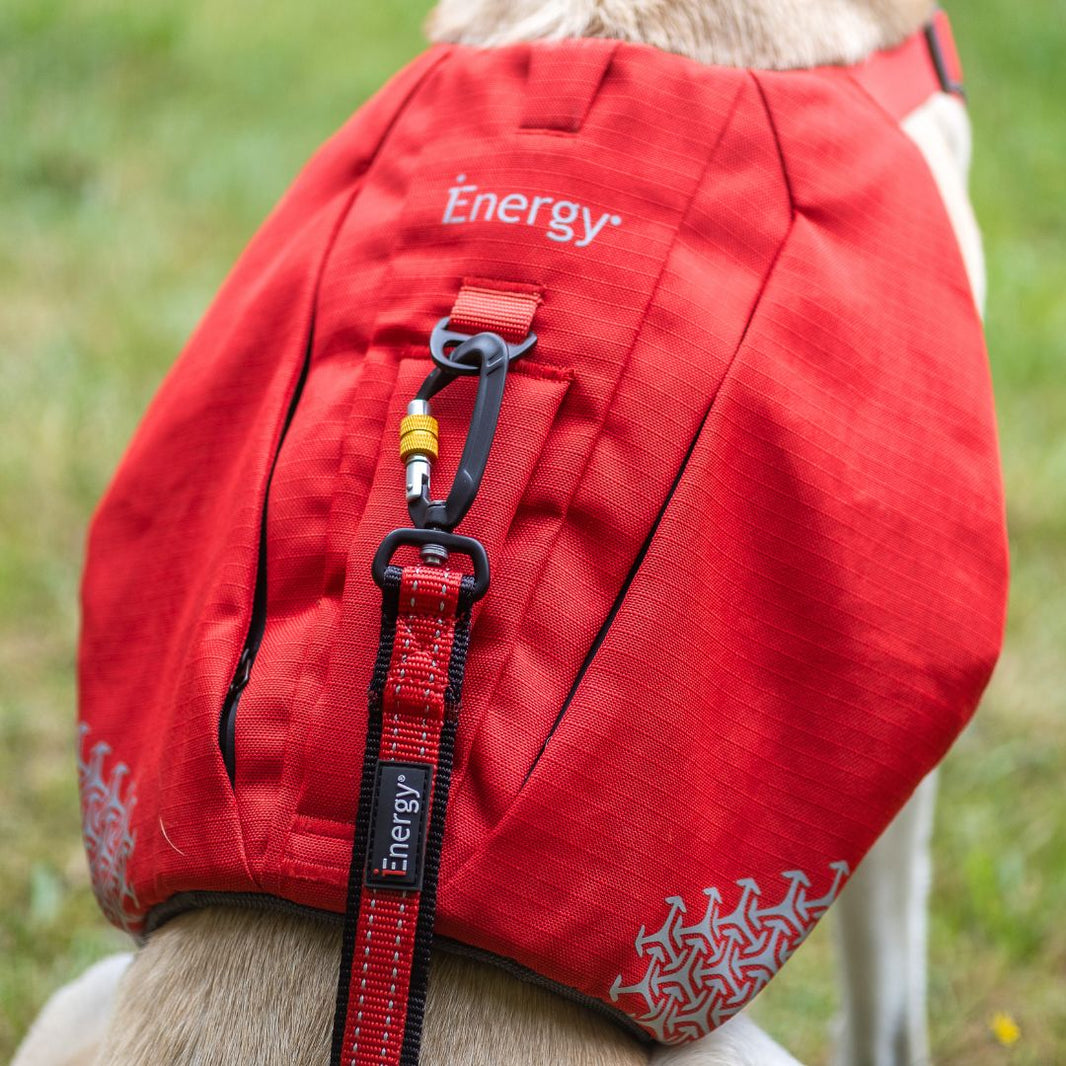 Dog wearing the iEnergy MIC Dog Harness with zippered backpack pockets in red color