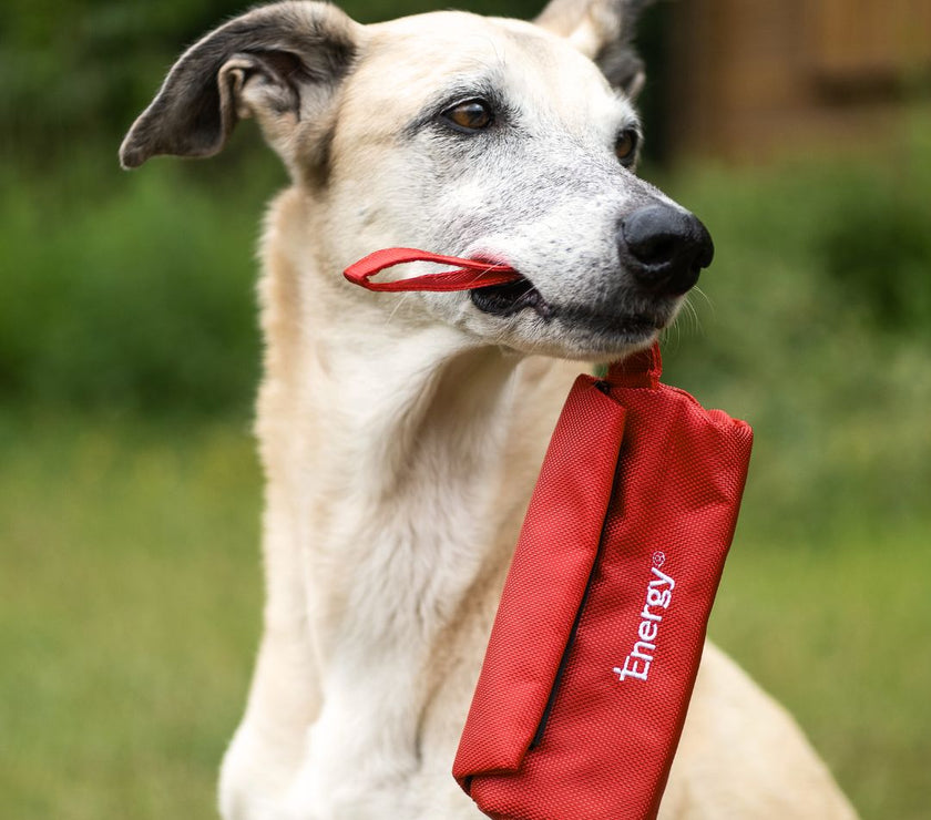 iEnergy™ BET Dummy Bag for dogs with happy dog