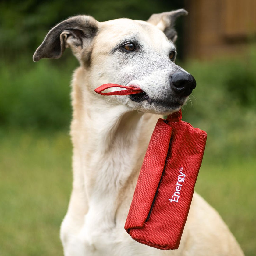 iEnergy™ BET Dummy Bag for dogs with happy dog