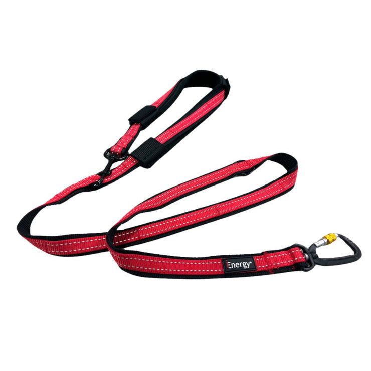 iEnergy CAR - 6 in 1 Dog Leash