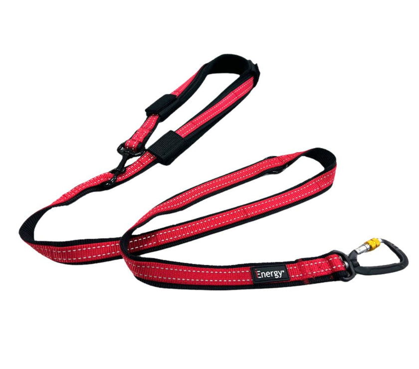 iEnergy CAR - 6 in 1 Dog Leash