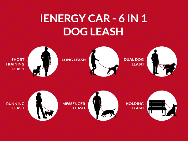 iEnergy™ CAR - Laisse pour chien 6 en 1