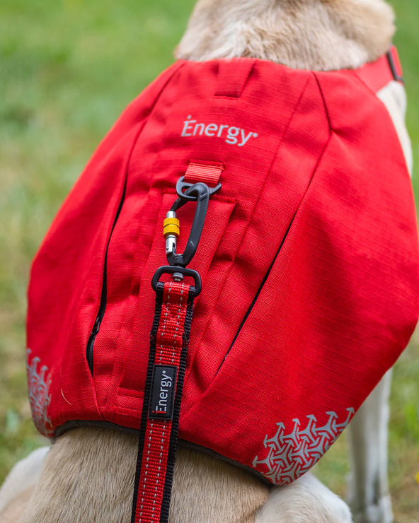 iEnergy CAR - 6 in 1 Dog Leash