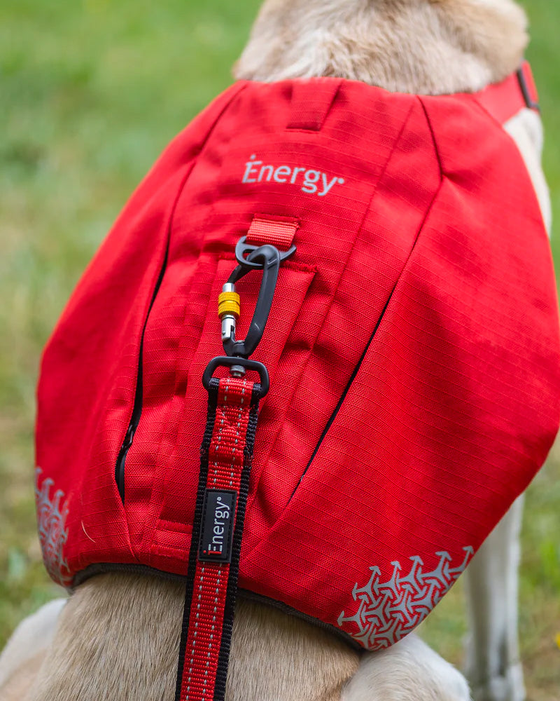 iEnergy™ CAR - Laisse pour chien 6 en 1