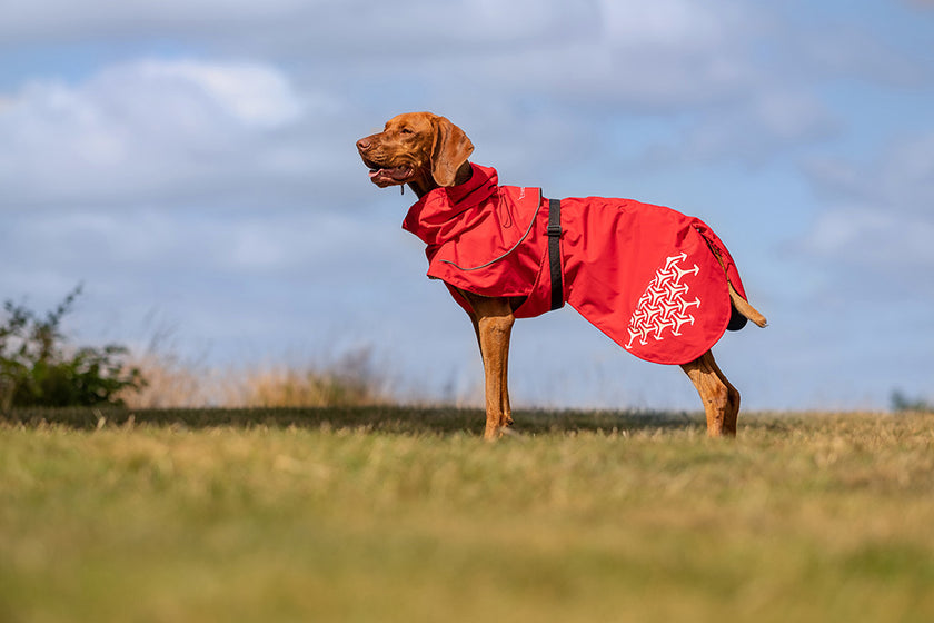 iEnergy™ LUN Water-Resistant Jacket for dogs