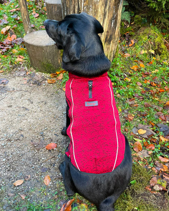 IEnergy OSC Dog Jacket Example