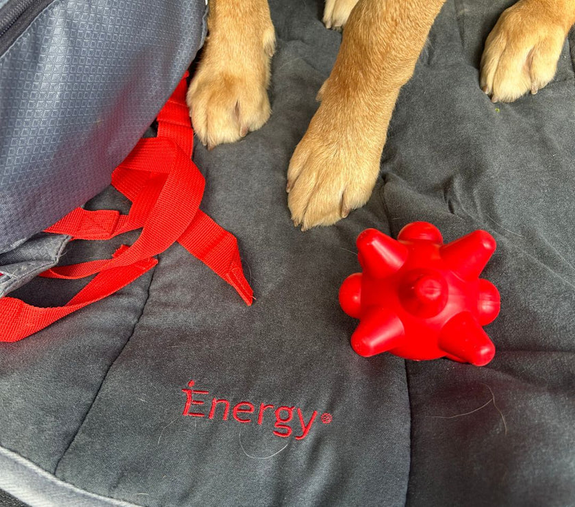 iEnergy™ TAN Ball indestructible dog toy