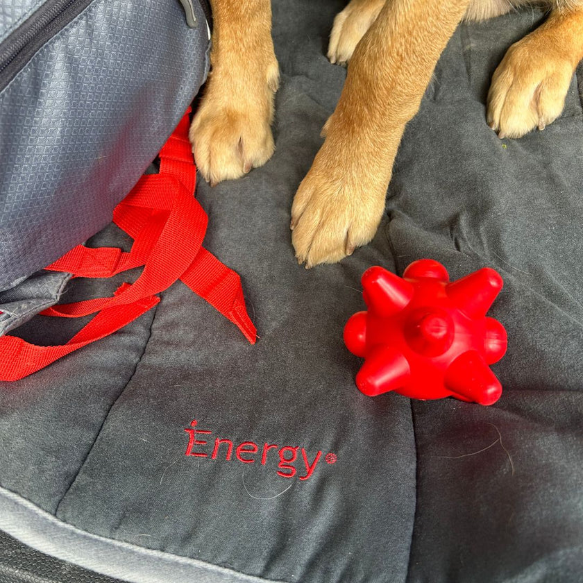 iEnergy™ TAN Ball indestructible dog toy