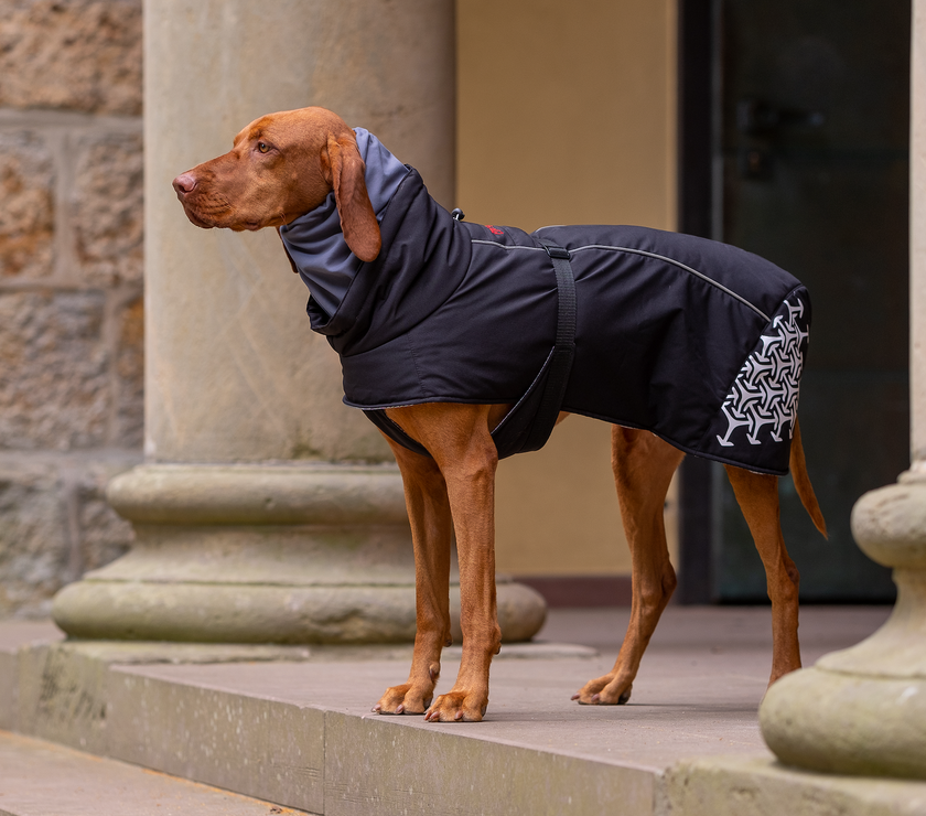 iEnergy™ JUD Winter Jacket for dogs